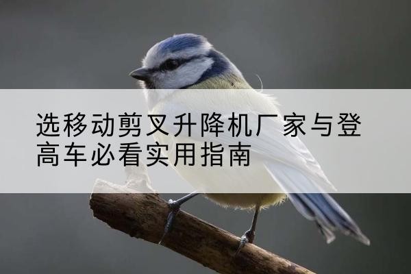 江华电动升降机厂家-选移动剪叉升降机厂家与登高车必看实用指南