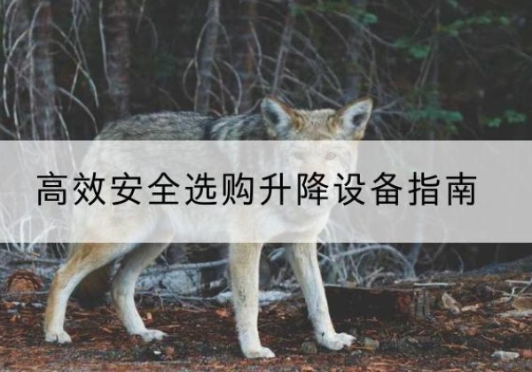 江华升降货梯厂家推荐-*安全选购升降设备指南