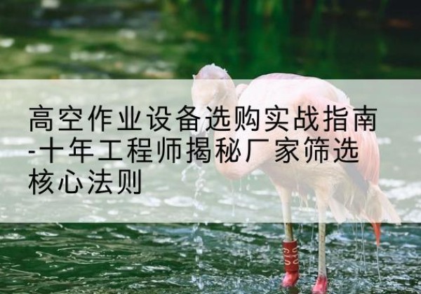 江华剪叉式升降机厂家-高空作业设备选购实战指南-十年工程师揭秘厂家筛选核心法则